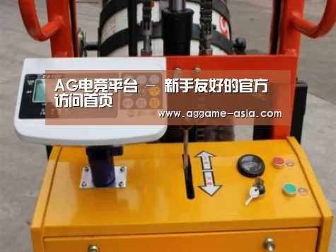AG视讯案例展示三