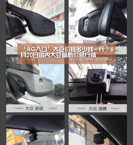 ‘AG入口’大豆价格多少钱一斤?6月20日国内大豆最新价格行情(图2) AG百家乐