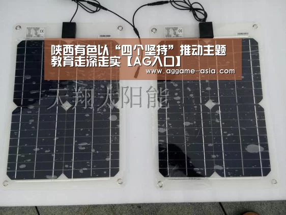 陕西有色以“四个坚持”推动主题教育走深走实【AG入口】(图2)