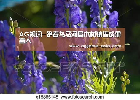 AG视讯-伊春乌马河局木材销售成果喜人(图1) AG视讯-伊春乌马河局木材销售成果喜人(图1)