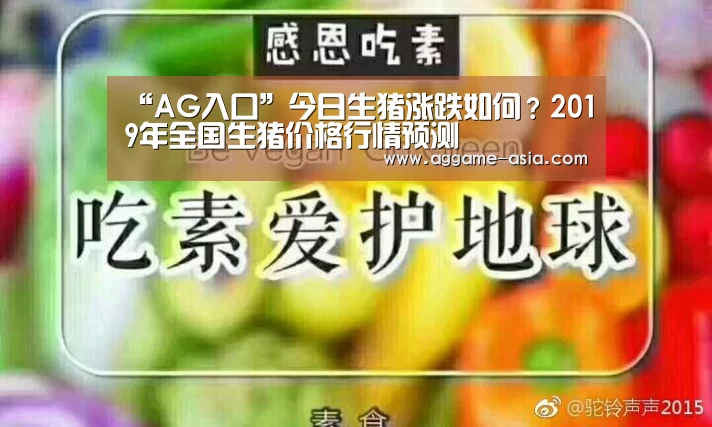 “AG入口”今日生猪涨跌如何?2019年全国生猪价格行情预测(图2) AG入口