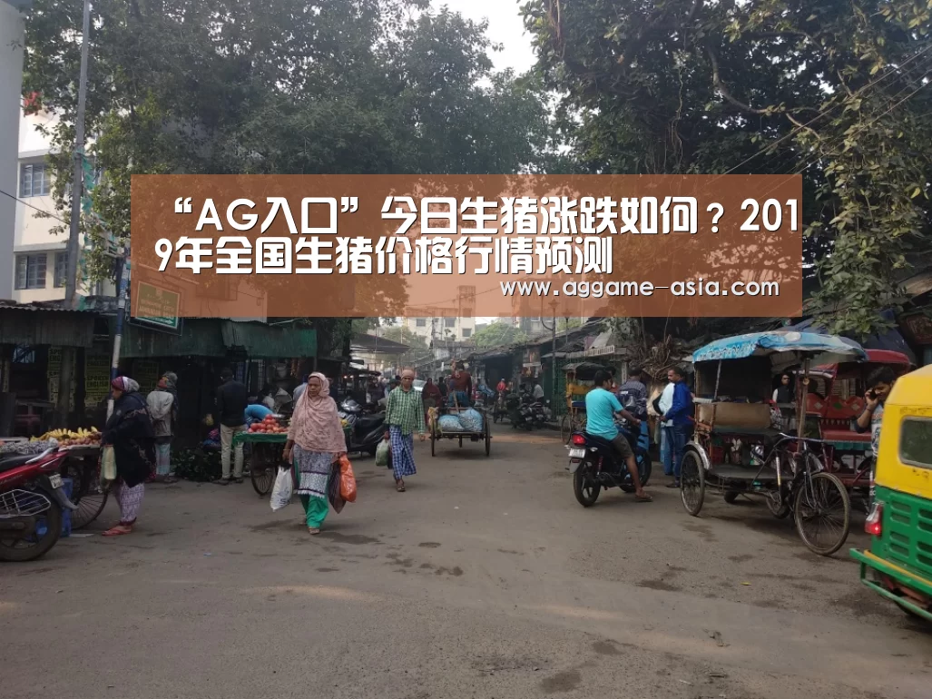 “AG入口”今日生猪涨跌如何?2019年全国生猪价格行情预测(图1) AG百家乐