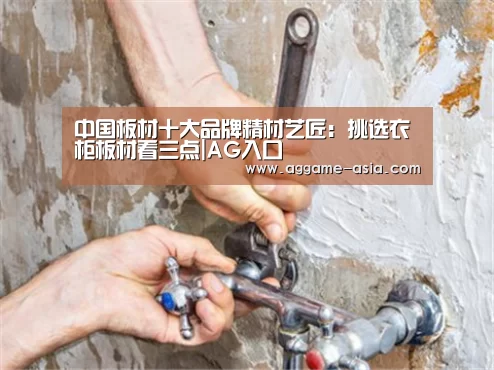 中国板材十大品牌精材艺匠:挑选衣柜板材看三点|AG入口(图1) AG视讯