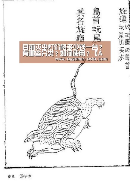 目前灭虫灯价格多少钱一台?有哪些分类?如何使用?【AGAPP】(图1) AG百家乐