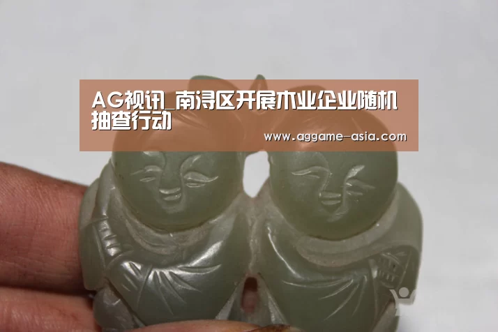 AG视讯_南浔区开展木业企业随机抽查行动(图2) AG视讯