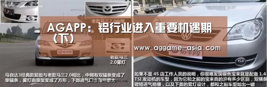 AGAPP:铝行业进入重要机遇期(下)(图2) AG视讯